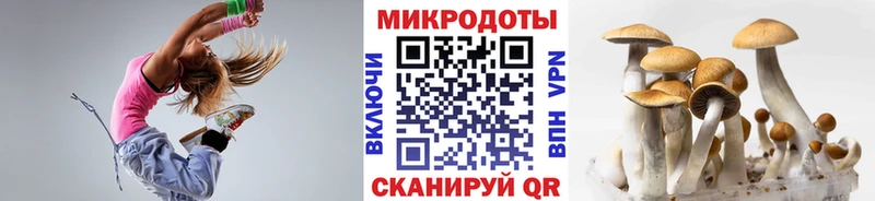 Купить  Городовиковск  Галлюциногенные грибы MAGIC MUSHROOMS 